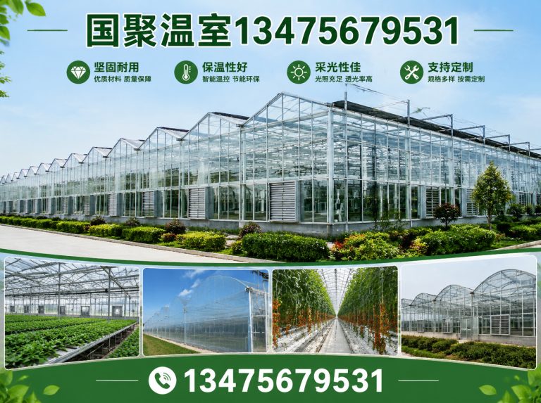 昌乐县温室大棚厂家展示图