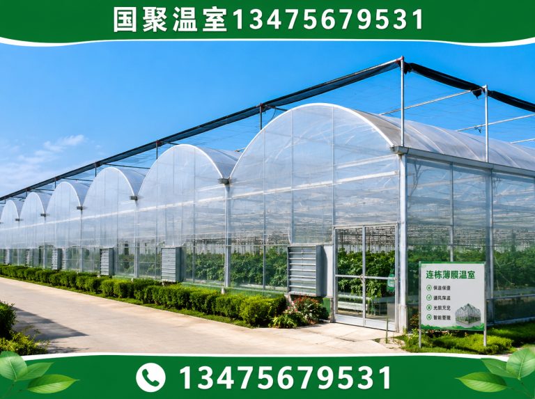 昌乐县国聚温室展示图